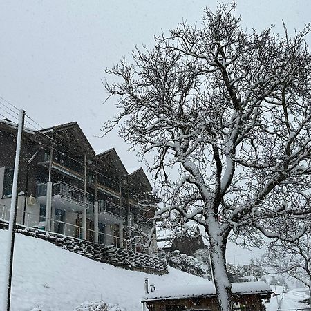 Lake Facing Studio Niederried bei Interlaken Εξωτερικό φωτογραφία