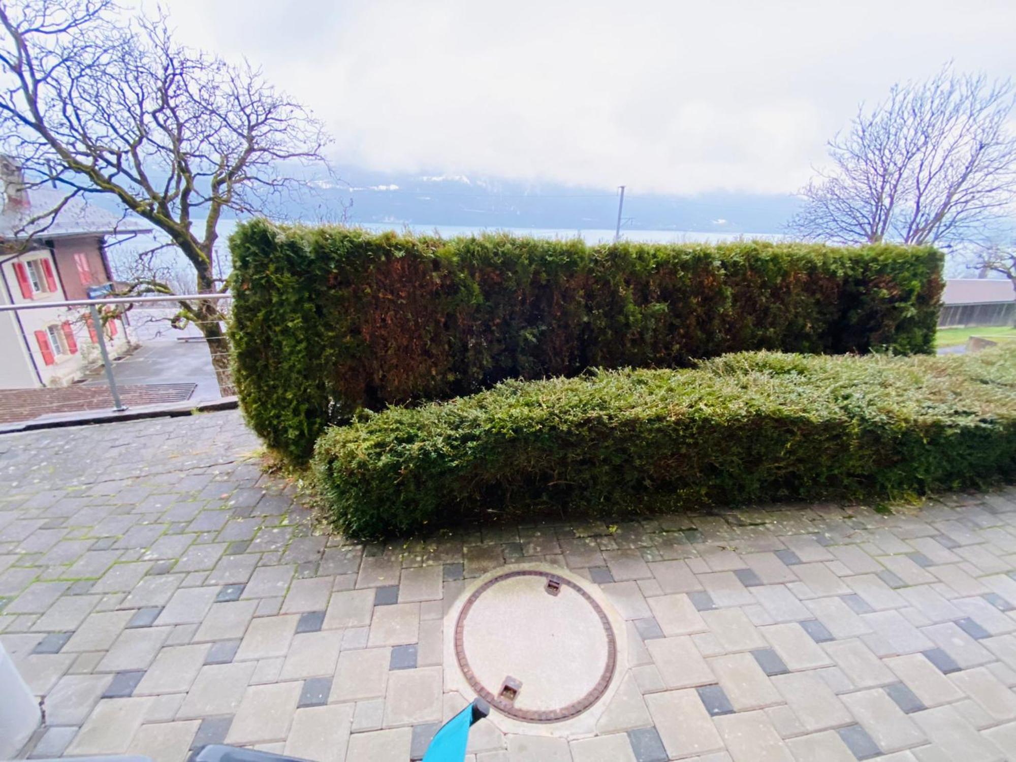 Lake Facing Studio Niederried bei Interlaken Εξωτερικό φωτογραφία