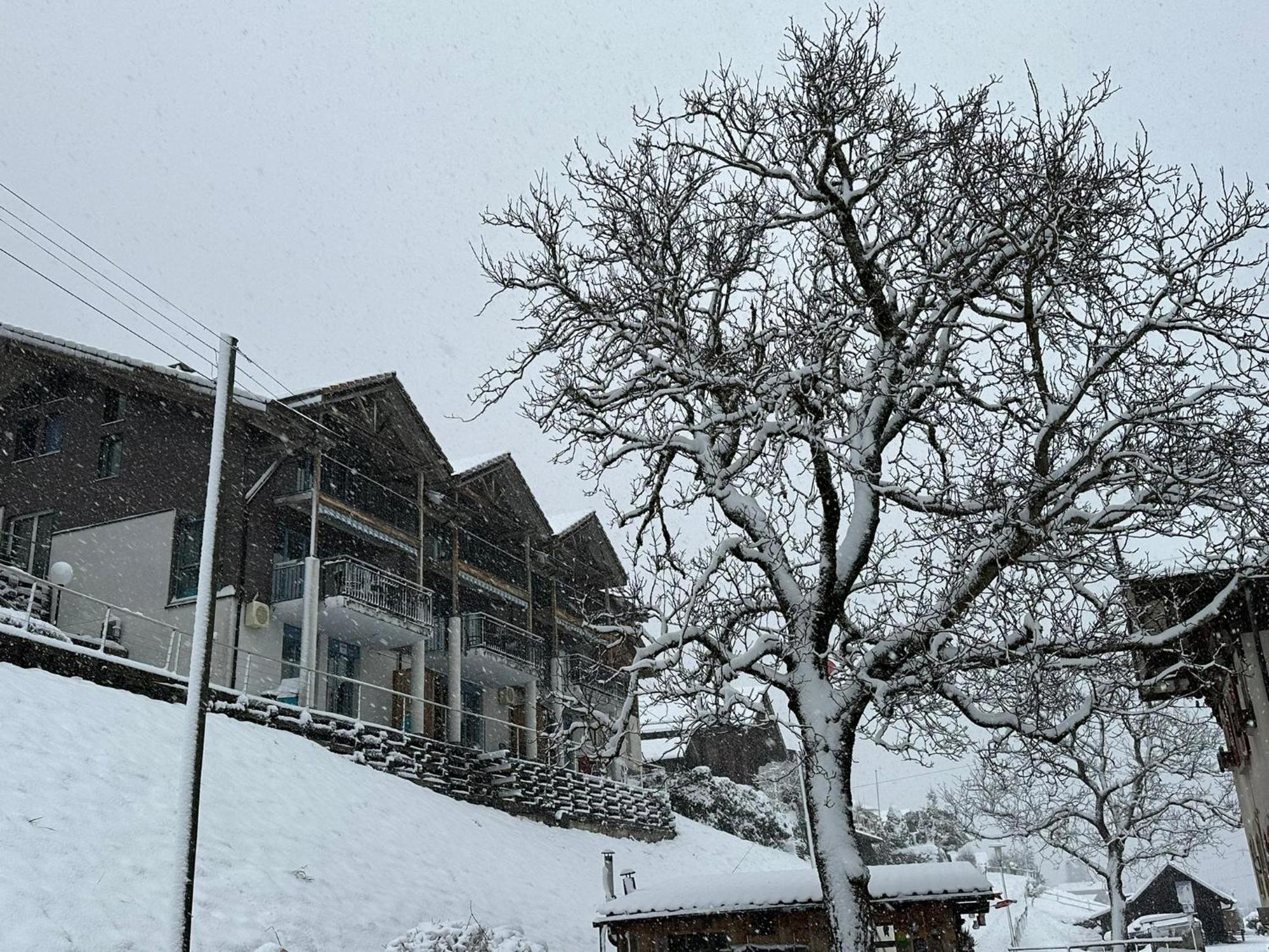 Lake Facing Studio Niederried bei Interlaken Εξωτερικό φωτογραφία
