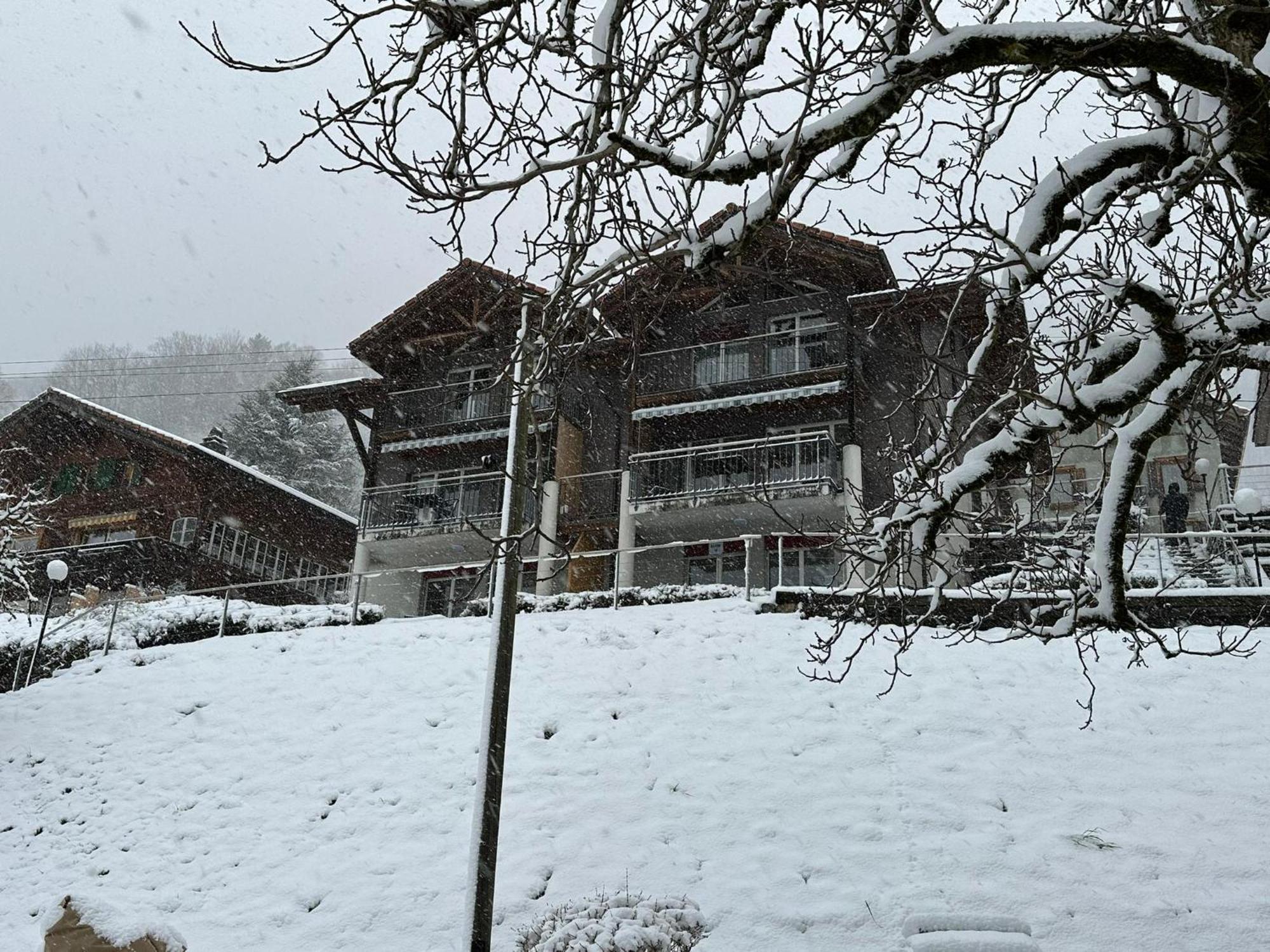 Lake Facing Studio Niederried bei Interlaken Εξωτερικό φωτογραφία