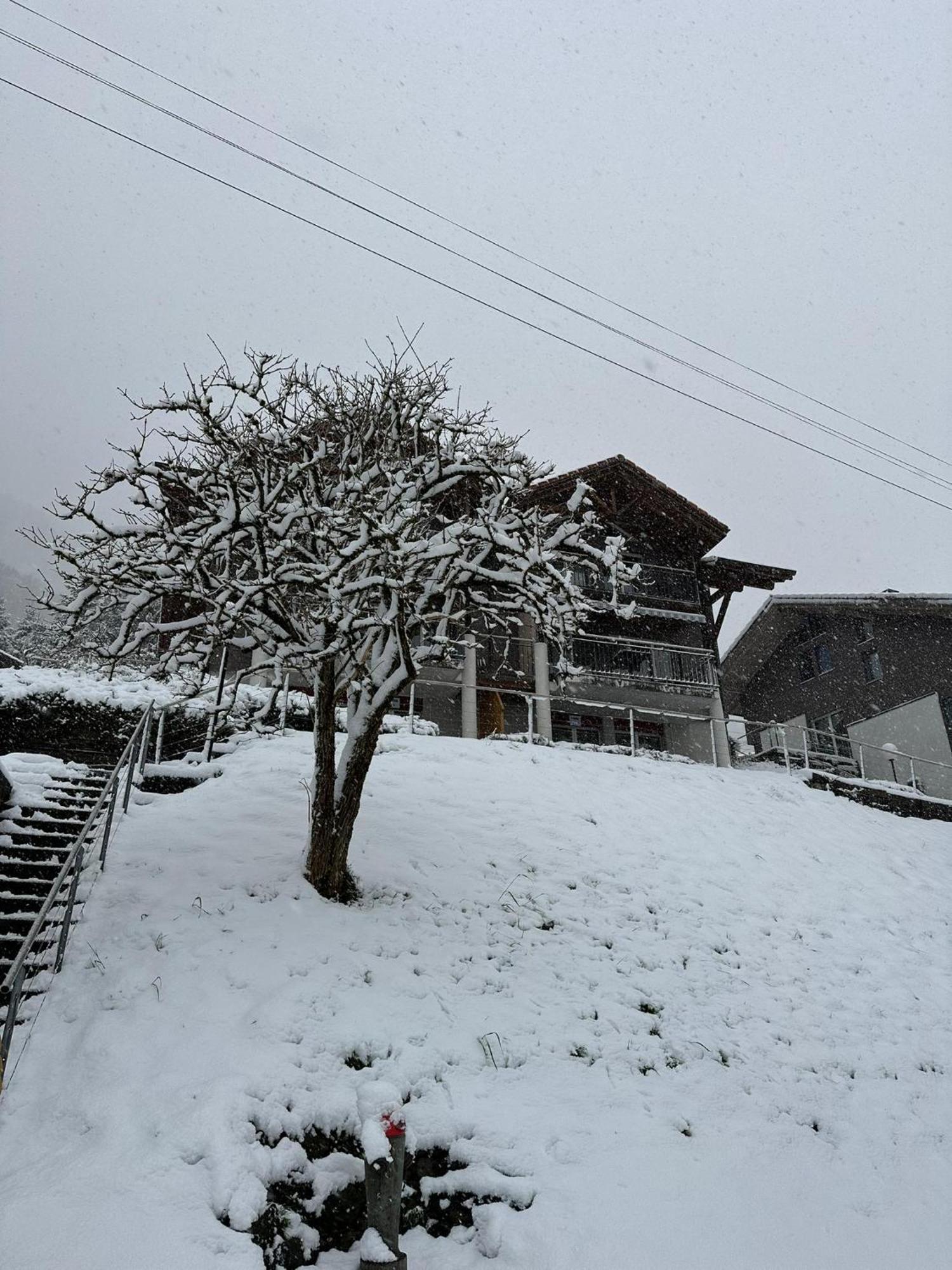 Lake Facing Studio Niederried bei Interlaken Εξωτερικό φωτογραφία