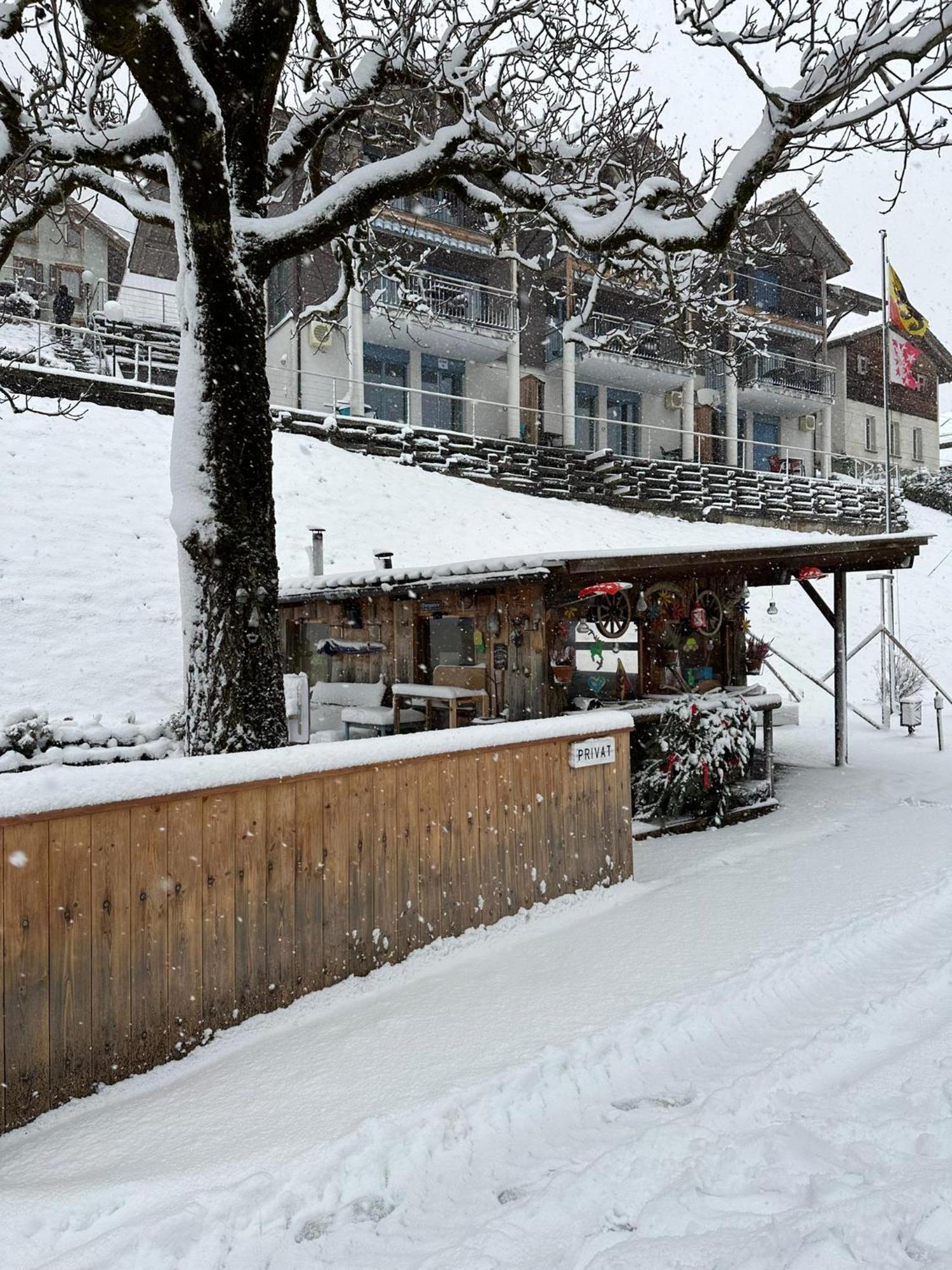 Lake Facing Studio Niederried bei Interlaken Εξωτερικό φωτογραφία